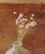 スターフラワー／暮らしに花を添えて