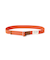 AVIREX STRETCH BELT／ ストレッチベルト ／ アヴィレックス