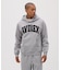 《DAILY／デイリー》PULLOVER SWEAT PARKA LOGO ／ プルオーバー スウェット パーカー ロゴ ／ AVIREX
