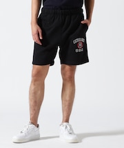 《直営店限定》VARSITY LOGO SHORTS / バーシティ ロゴ ショーツ / AVIREX / アヴィレックス