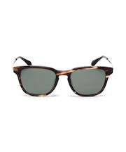 AVIREX EYEWEAR -AX-305 / サングラス / アヴィレックス