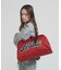 ＥＣＤＰ　ＬＯＧＯ　ＢＯＳＴＯＮ　ＢＡＧ