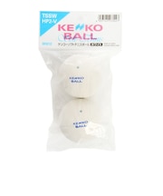 ナガセケンコー(NAGASE KENKO)ソフトテニスボール 練習球 2個入り TSSWHP2V 自主練