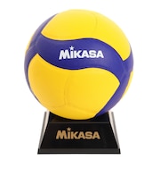 ミカサ(MIKASA)バレーボール サインボール 記念品用マスコット V030W 卒業 卒部 卒団