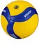 ミカサ（MIKASA）バレーボール 検定球 5号球 (一般用・大学用・高校用) 国際公認球 V300W 自主練 練習