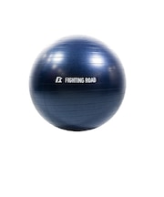ファイティングロード(FIGHTING ROAD)ジムボール 55cm FR23CMS0048 NVY