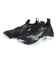 ミズノ(MIZUNO)バレーボールシューズ ウエーブモーメンタム3 V1GA231252