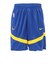 ナイキ（NIKE）バスケットボールウェア ゴールデンステート ウォリアーズ プラクティス アイコン+ NBA ショートパンツ FB4020-495