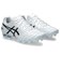 アシックス（ASICS）サッカースパイク サッカーシューズ 土 天然芝 人工芝用 DS LIGHT PRO 1103A095.101