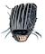 ウイルソン（Wilson）軟式用グラブ 内野手 野球グローブ 一般 Basic Lab DUAL D5 Wブラック ウィルソン デュアル WBW102369