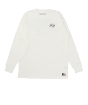 セッションズ(SESSIONS)TEAM VAN ロングスリーブTシャツ 247207 WHT