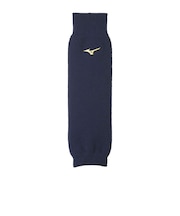 ミズノ(MIZUNO)野球 発熱素材 ミズノプロ ブレスサーモレッグウォーマー 2枚入り mizuno pro 12JYBU0114