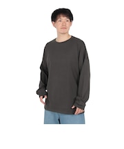 ルーカ（RVCA）RECESSION ロングスリーブTシャツ BE042064 PTK