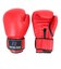 ファイティングロード（FIGHTING ROAD）ボクシンググローブ 16oz 赤 FR20SMO001/16/R ボクシング トレーニング