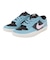 ナイキ（NIKE）スケートボードシューズ SB フォース 58 PRM L DV5476-400
