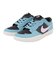 ナイキ（NIKE）スケートボードシューズ SB フォース 58 PRM L DV5476-400