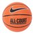 ナイキ（NIKE）バスケットボール 5号球 6号球 7号球 エブリデイ オールコート 8P BS3050-855