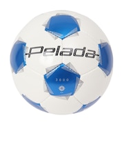 モルテン(molten)サッカーボール 4号球 検定球 ペレーダ3000 手縫い シロ×アオ F4K3000-WB