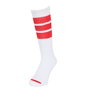 アクター（AKTR）バスケットボール ソックス MONSTER SOCKS 224-007021 WHRD