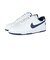 ナイキ（NIKE）スニーカー スポーツシューズ ビッグLOW 355152-140