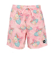 ハーレー(HURLEY)キャノンボール ボレー 17 サーフパンツ 水着 MBS0011890-681