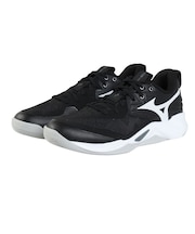 ミズノ（MIZUNO）バレーボールシューズ ウエーブモーメンタム プロ WAVE MOMENTUM V1GA254054