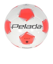 モルテン(molten)サッカーボール 5号球 検定球 ペレーダ4000 手縫い F5K4000-WO