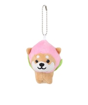 旅するキーホルダー もも TMR001 柴犬 グッズ ボールチェーン ストラップ ぬいぐるみ