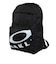 オークリー（OAKLEY）ジュニア Essential バックパック 20 FOS902210-02E