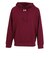 アンダーアーマー（UNDER ARMOUR）ライバルフリース フーディー 1379757 609