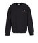 カーハート（CARHARTT）アメリカン スクリプト スウェット I02547589XX25FW