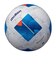 モルテン（molten）サッカーボール 5号球 検定球 ヴァンタッジオ3000 F5N3000