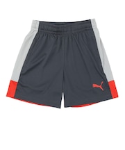 プーマ（PUMA）サッカーウェア ジュニア INDIVILIGA トレーニング ショーツ 66097401