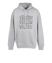 ボルコム(Volcom)VIBES TIME プルオーバー スウェットパーカー A4102306-GRY