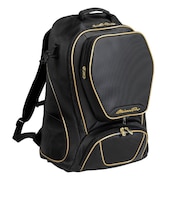 ミズノ(MIZUNO)野球 バッグ ミズノプロ バックパック 40L 1FJDD00109