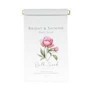 ノルコーポレーション(NOL CORPORATION)浴用化粧料 バスソーク BRIGHT&SHINING BSS0106