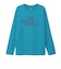 ザ・ノース・フェイス（THE NORTH FACE）長袖 ES ビッグロゴ Tシャツ NT32580 DL