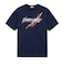 ニシ・スポーツ（NISHI）陸上ウェア アスリートプライドTシャツ 2811A656.400