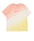 ナイキ（NIKE）スポーツウェア プール パーティ 半袖Tシャツ IR7557-378