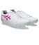 アシックス（ASICS）サッカースパイク人工芝/土用 DS LIGHT CLUB 1103A128.101