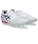 アシックス（ASICS）サッカースパイク人工芝/土用 DS LIGHT ADVANCE WIDE 1103A125.101