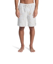 クイックシルバー(Quiksilver)EVERYDAY PRINTED VOLLEY 19 ジャムボードショーツ インナーショーツ付き 26SPEQYJV0…