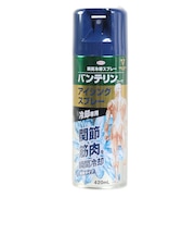 バンテリン コーワ アイシングスプレー 420mL 24725 コールドスプレー 冷却スプレー アイシング