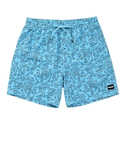 ハーレー(HURLEY)キース・ヘリング CANNONBALL VOLLEY 17 ショートパンツ MBS11885-460