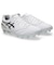 アシックス（ASICS）サッカースパイク DS LIGHT ADVANCE WIDE 1103A125.103