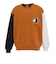 チャンピオン（CHAMPION）AS LOOSE MULTICOLOR クルーネックスウェットシャツ C3-E007 855