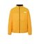 ザ・ノース・フェイス（THE NORTH FACE）リバーシブルツインサレートアクションジャケット NY82685 SG
