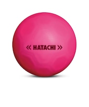 ハタチ(HATACHI)グラウンドゴルフ SHOOTボール BH3460-64
