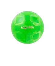 本間ゴルフ（HONMA）パークゴルフ ボール PGA2301 GR