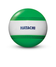 ハタチ(HATACHI)グラウンドゴルフ ナビゲーションボール グリーン BH3851-35